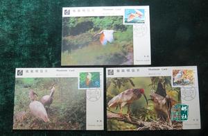 MC-4：朱鹮 中国集邮总公司 极限明信片 全套（3枚） 全品