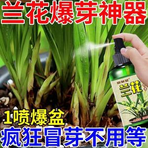 兰花专用爆芽剂兰花发芽素营养液生根防烂根催芽催花爆根剂护根