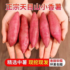 临安天目山小香薯拇指小红薯新鲜地瓜板栗山芋番薯5斤迷你