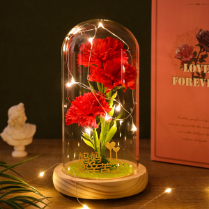 母亲节送妈妈生日礼物实用高级仪式感给婆婆创意惊喜康乃馨永生花