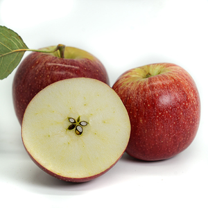 云南 苹果水果新鲜5斤包邮马者哨高原农家助农小苹果当季应季水果