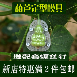大葫芦定型模具水果造型模子人参果生长模型磨具塑料成型套模器