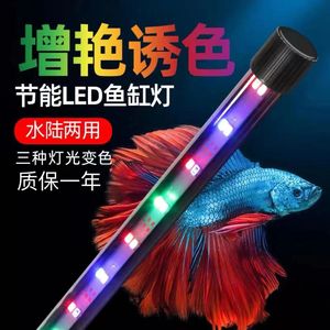 鱼缸造景照明灯led灯水族防水变压潜水灯水草灯防水增艳T8强光灯