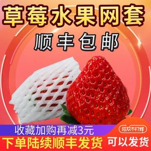 草莓专用水果网套防震快递保护套袋包装网袋泡沫袋网兜