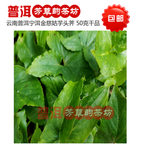 云南宁洱特产草药金慈姑芋头荠干品50克包邮普洱芳草韵茶坊