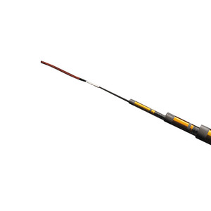 daiwa/达亿瓦波纹鲤竞技目鱼竿手杆品牌进口达瓦超轻超硬