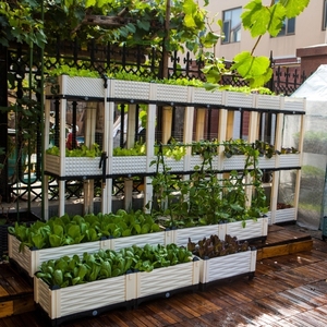 阳台蔬菜种植箱菜园楼顶种菜盆长方形组合花盆天台屋顶种菜箱塑料