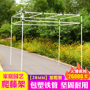 室外金属葡萄架 阳台简易植物爬藤架 庭院户外铁艺月季铁线莲花架