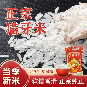 品冠膳食泰式猫牙米长粒香米2023新米10斤泰国香米猫牙米长粒香米