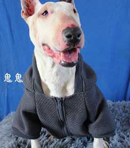 【牛头梗犬衣服】牛头梗犬衣服品牌,价格 - 阿里巴巴