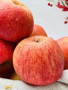 每天水果 陕西香妃红颜苹果 不易氧化 皇家嘎啦布瑞本杂交 整箱