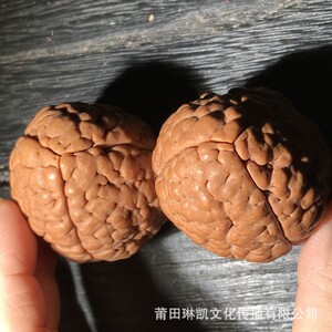 厂家三瓣脑纹核桃大尺寸t金刚菩提子手把件保健球佛珠盘玩练手球