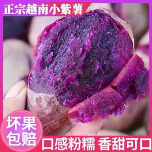 正宗越南小紫薯珍珠板栗紫薯新鲜粉糯紫红地瓜现挖沙地番薯1-5斤