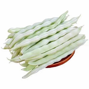 东北白不老豆角