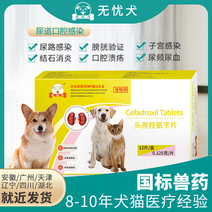 头孢羟氨苄片狗狗尿路感染猫咪膀胱炎尿血尿频肠胃炎宠物用消炎药