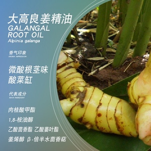 大高良姜精油