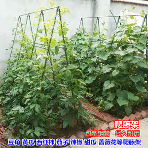 西瓜爬藤架黄瓜架葡萄架蔬菜藤蔓植物架子豆角架种丝瓜搭菜种菜支
