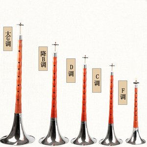 唢呐吹乐器降b大gfcd调红木唢呐 学生成人初学者送唢呐教程材哨片