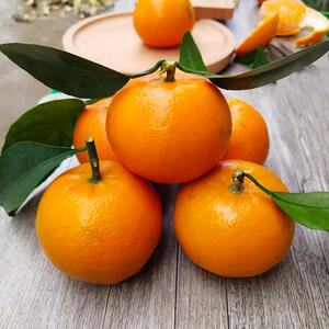正宗湖南永州江永沙田柚纯甜不酸老树冰糖柚子特产新鲜水果30斤装