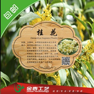 红继木便携式无患子棷景区龙爪槐苗木盆栽树木牌定制房屋槐树标牌