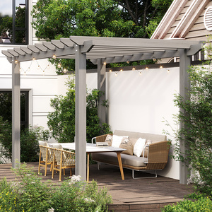 别墅庭院葡萄架