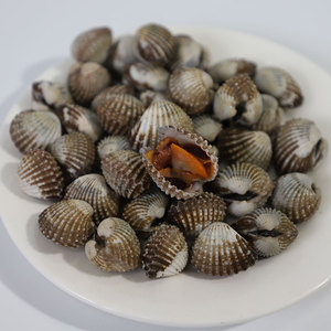 装】大花蛤肉去壳无沙新鲜鲜冻蛤蜊肉花甲肉黄蚬子杂蛤花蛤1人付款48