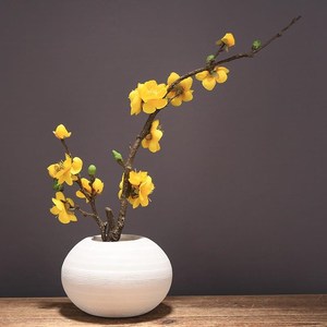 干枝花瓶客厅