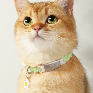 猫咪挂脖刻字项圈