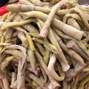 湖南湖北特产石首监利华容蔬菜柴笋子芦苇笋财笋荻笋1斤 2份包邮