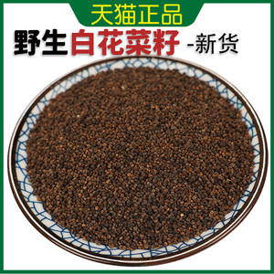 野生白花菜籽中药材250克 别名羊角菜 臭花菜 臭豆角子无硫新货
