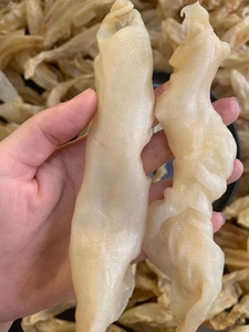 120头甲肚鱼胶花胶鸭包胶孕妇坐月子滋补品500克