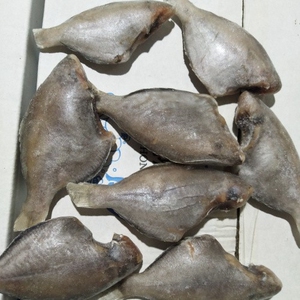 新鲜冷冻三去香鱼海鲜水产毛重12斤1箱55/65条左右江浙沪皖包邮