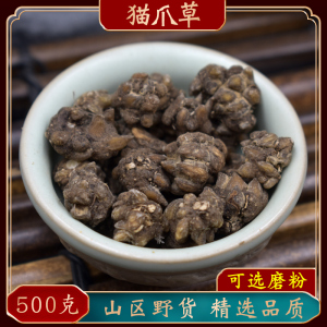 猫爪草野生新鲜