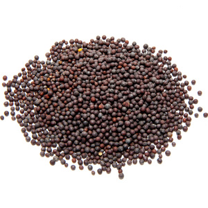 indian food mustard seeds 印度黑芥子芥末籽黑芥籽 500g