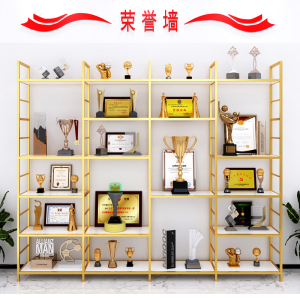 荣誉奖牌展示墙