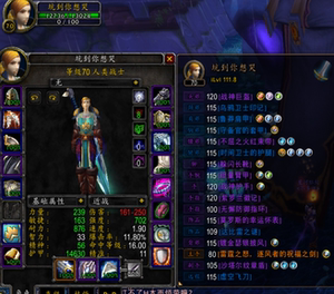 魔兽世界怀旧服70级账号战士装备毕业风剑橙装武器迅猛龙坐骑大鸟