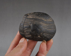 全场不议价广西天然奇石观赏石大化石红水河水冲原石头摆件小卷纹