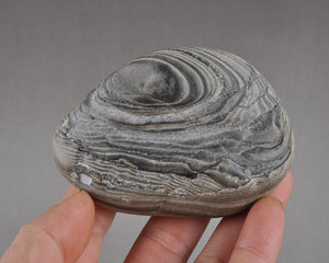 全场不议价广西天然奇石观赏石大湾石红水河水冲原石头摆件卷纹