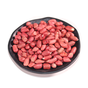 湖北大悟土特产红皮花生米精选优质农家手剥生花生米500g包邮袋装