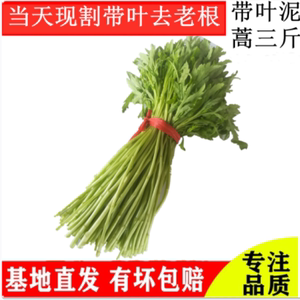 刘姓塘泥蒿藜蒿3斤去根带叶蒌蒿芦蒿篱蒿新鲜湖北特产农家蔬菜