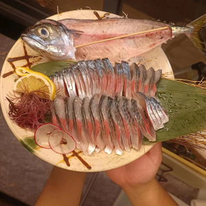 东山岛养殖刺身生态放血鲭鱼当天现捕冰鲜冷冻海鲜水产