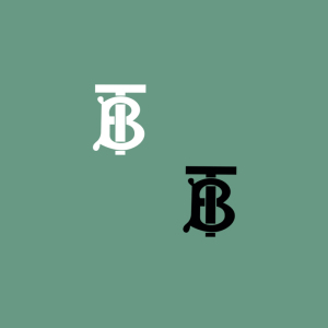 新款潮牌时尚简约巴宝莉热转印bt字母t恤服装pet胶片柯式烫画布贴