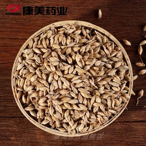 康美药业麦芽100g河北产中药饮片中药材店铺抓配官方旗舰店