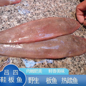鲜礼四海吕四方板鱼海鲜龙利鱼鞋底鱼肉踏鱼比目鱼鲜活水产宝宝