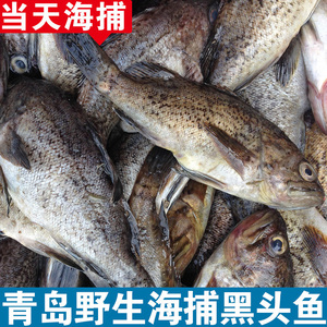 青岛鲜活黑头鱼速冻野生小黑头鱼新鲜豆腐鱼海鲜水产500g