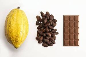 新鲜可可果手工巧克力原料可可豆原豆热带水果现摘现发包邮