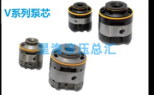 V系列泵芯 45V60A 25V21A 20V11A 25V17A/19A高压修理