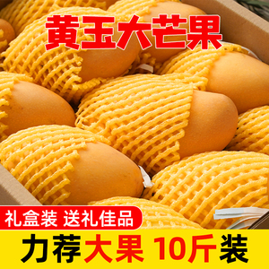 申通陆运包邮海南昌江黄玉芒果树上熟新鲜水果现摘现发净果10斤装