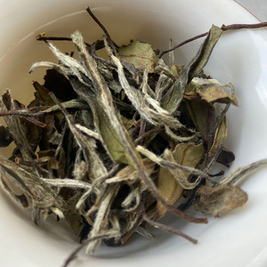 福鼎老白茶白牡丹散茶散装500g太姥山礼盒2015年贡眉寿眉白露茶