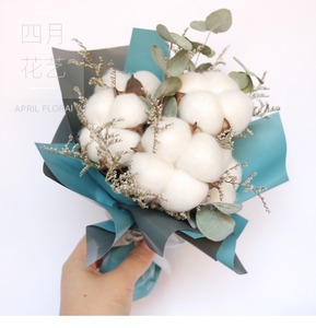 办公,文教 节庆用品 鲜花,花艺制品 棉花尤加利